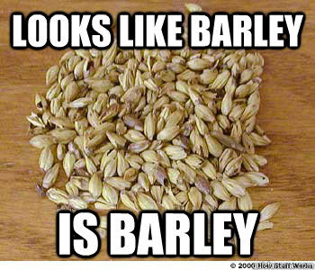 Looks like barley is barley - Looks like barley is barley  Barley Barley