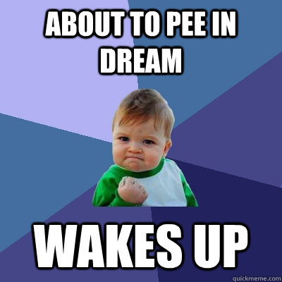 About to pee in dream Wakes up - About to pee in dream Wakes up  Success Kid