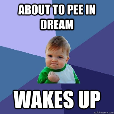 About to pee in dream Wakes up  Success Kid