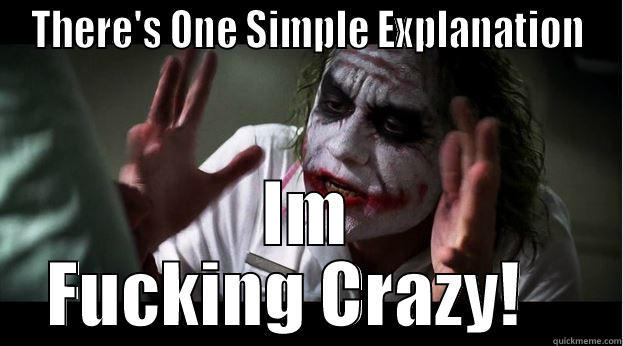 Fucking Crazy - THERE'S ONE SIMPLE EXPLANATION IM FUCKING CRAZY!    Joker Mind Loss