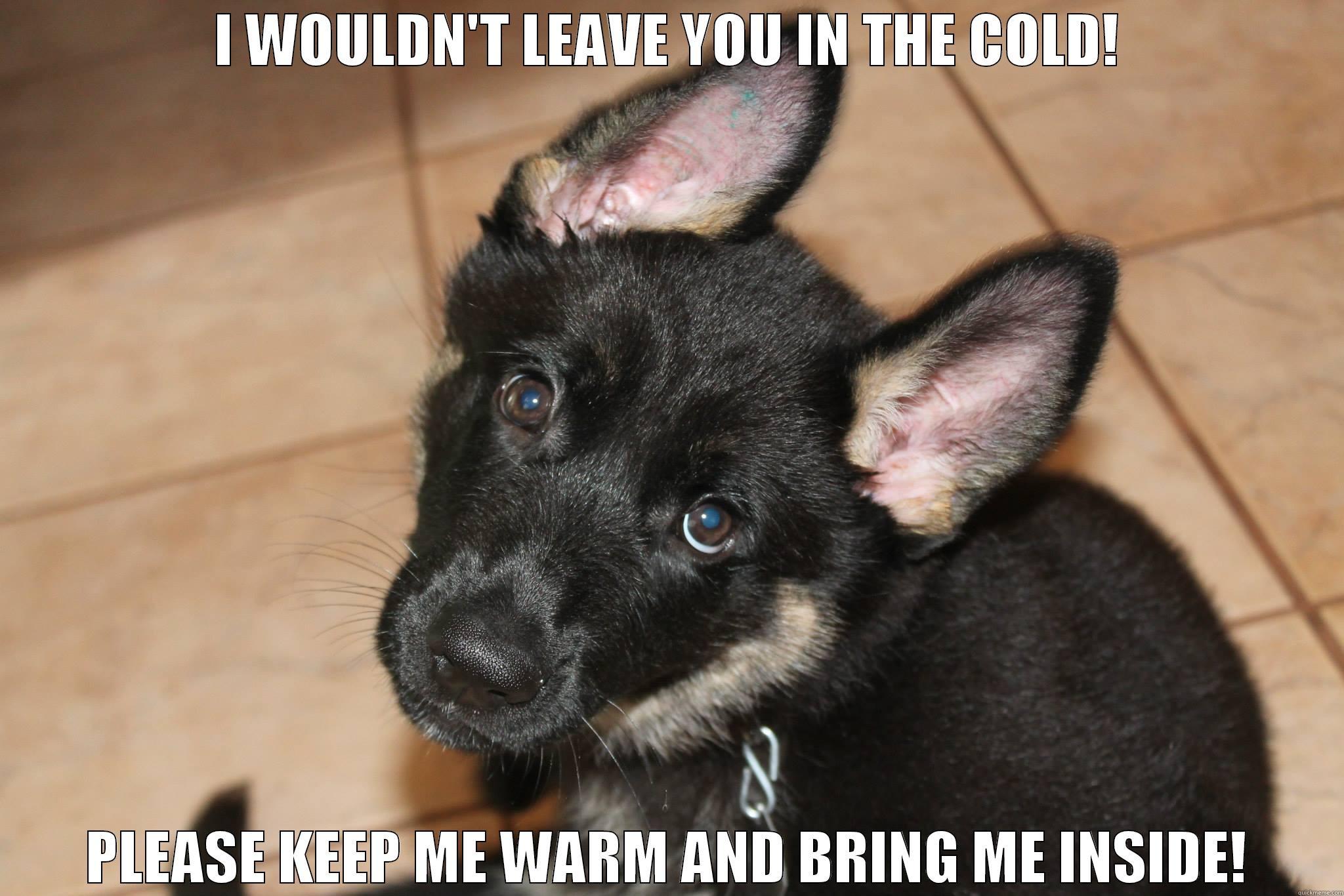 Bring pets in - I WOULDN'T LEAVE YOU IN THE COLD! PLEASE KEEP ME WARM AND BRING ME INSIDE! Misc