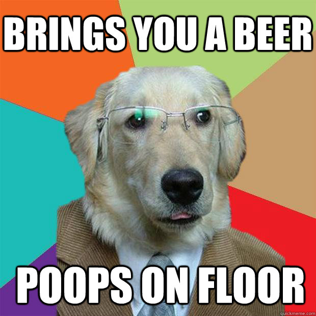 Brings you a beer poops on floor  Business Dog