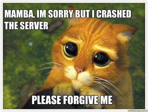 Mamba, im sorry but i crashed the server  please forgive me  