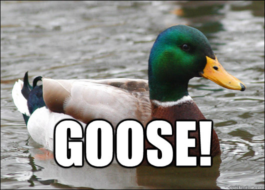  Goose!  Actual Advice Mallard