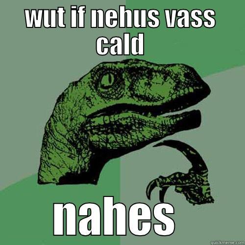 WUT IF NEHUS VASS CALD NAHES  Philosoraptor