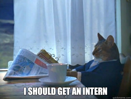  I should get an intern  The One Percent Cat