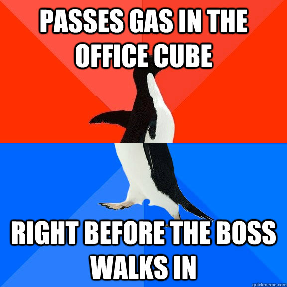 PASSES GAS IN THE OFFICE CUBE RIGHT BEFORE THE BOSS WALKS IN  Socially Awesome Awkward Penguin