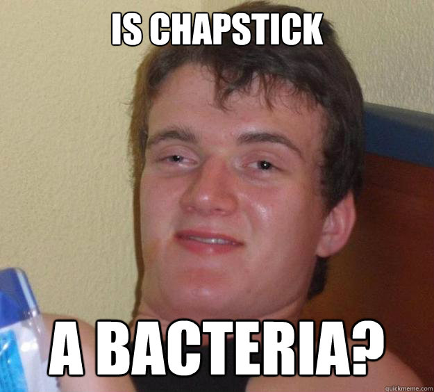 Is chapstick  a bacteria?  10 Guy