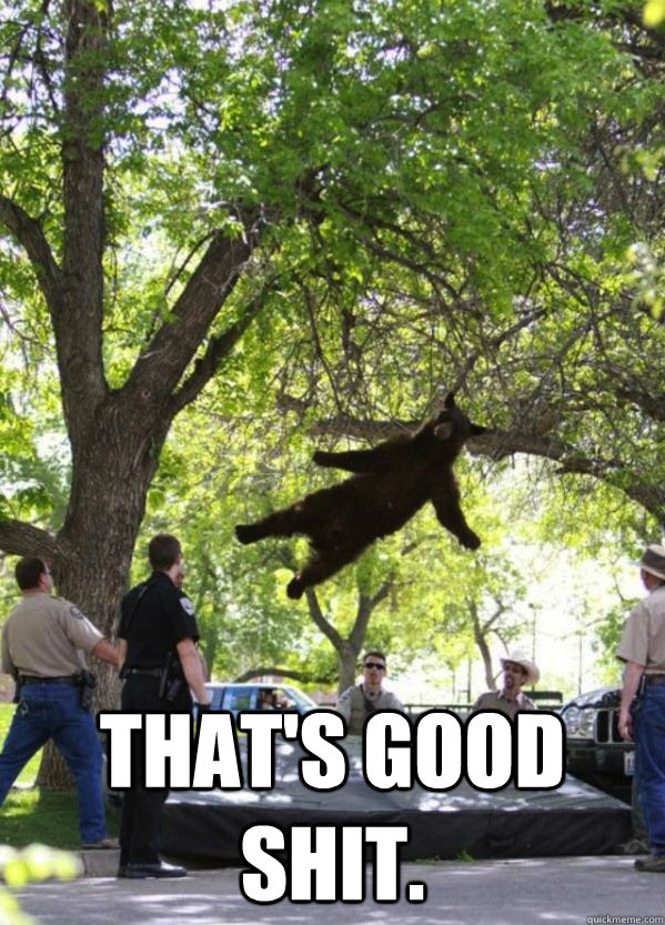  That's good shit. -  That's good shit.  i am a falling bear
