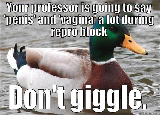 YOUR PROFESSOR IS GOING TO SAY 'PENIS' AND 'VAGINA' A LOT DURING REPRO BLOCK DON'T GIGGLE. Actual Advice Mallard