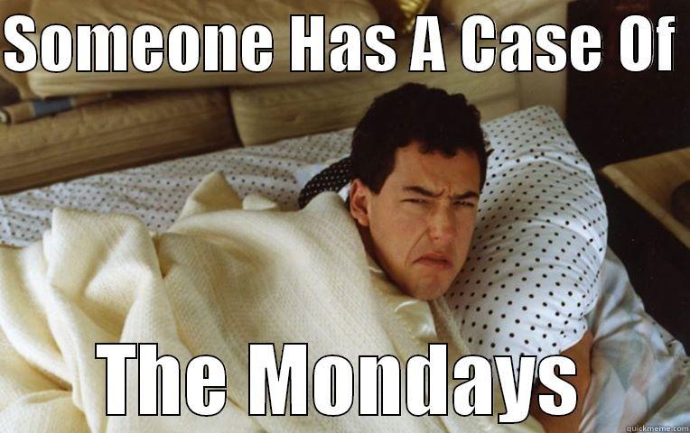 Someone Has A Case Of The Mondays - SOMEONE HAS A CASE OF  THE MONDAYS Misc