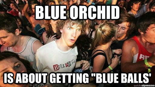Blue Orchid Is about getting 