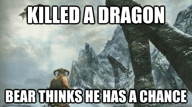 Killed a dragon  Bear thinks he has a chance  Skyrim Logic