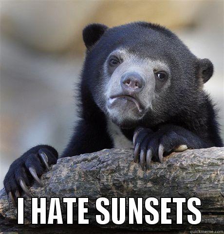   I HATE SUNSETS  Confession Bear
