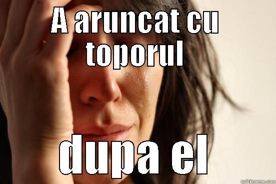 A ARUNCAT CU TOPORUL DUPA EL First World Problems