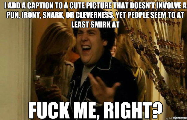 I add a caption to a cute picture that doesn't involve a pun, irony, snark, or cleverness, yet people seem to at least smirk at FUCK ME, RIGHT?  fuck me right