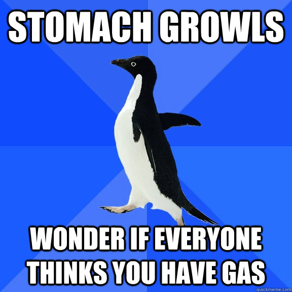 Stomach growls wonder if everyone thinks you have gas - Stomach growls wonder if everyone thinks you have gas  Socially Awkward Penguin