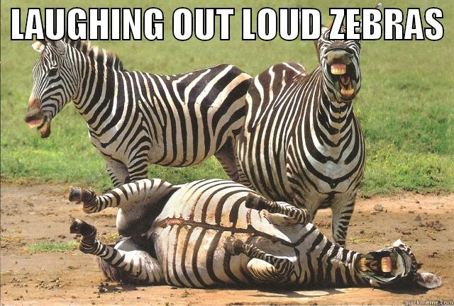 LOLZ laughing out loud zebras -  LAUGHING OUT LOUD ZEBRAS   Misc