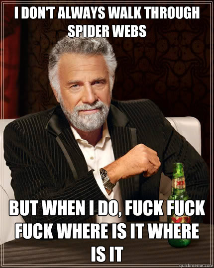 I don't always walk through spider webs But when i do, FUCK FUCK FUCK WHERE IS IT WHERE IS IT  The Most Interesting Man In The World