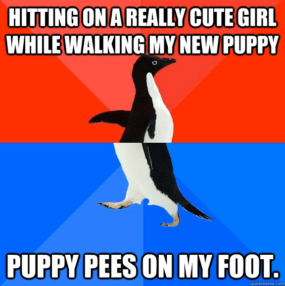 Hitting on a really cute girl while walking my new puppy Puppy pees on my foot.  Socially Awesome Awkward Penguin