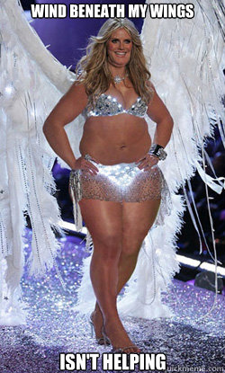 wind beneath my wings isn't helping - wind beneath my wings isn't helping  Typical American Woman