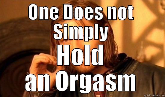 ONE DOES NOT SIMPLY HOLD AN ORGASM Boromir