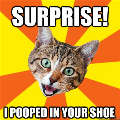 surprise! i pooped in your shoe  Bad Advice Cat