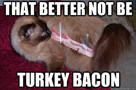 That better not be turkey bacon  Bacon Cat