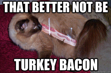 That better not be turkey bacon - That better not be turkey bacon  Bacon Cat