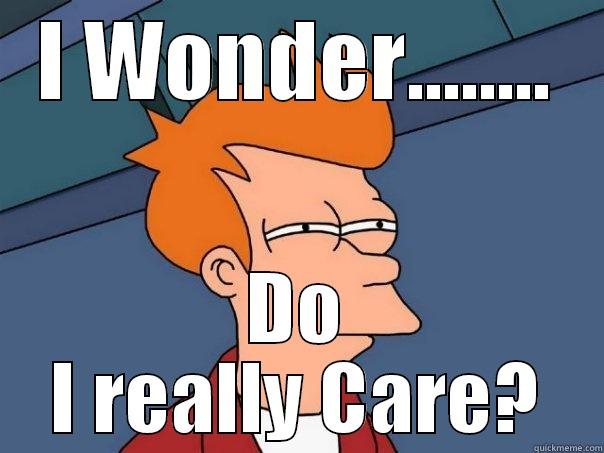 How some people feel... - I WONDER........ DO I REALLY CARE? Futurama Fry