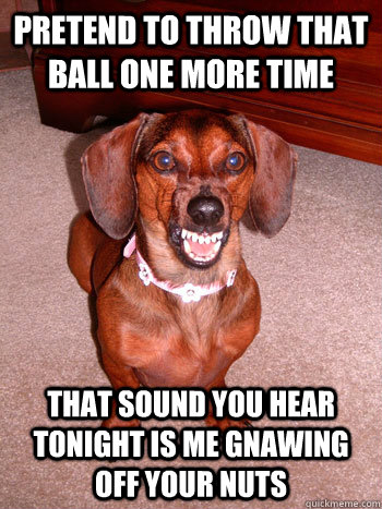 Pretend to throw that ball one more time that sound you hear tonight is me gnawing off your nuts  
