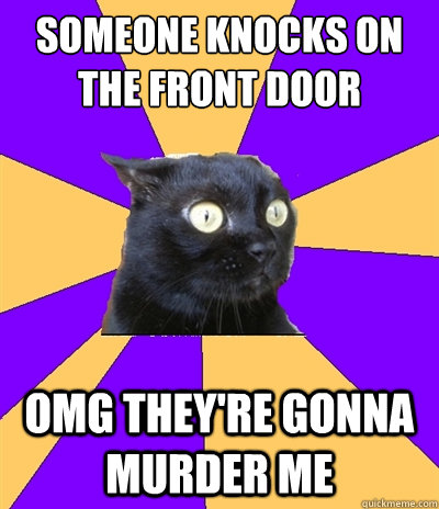 Someone knocks on the front door OMG THEY'RE GONNA MURDER ME  Anxiety Cat