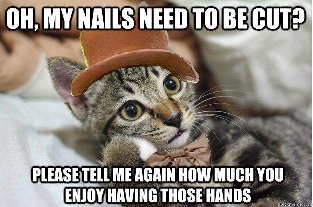 Oh, my nails need to be cut? Please tell me again how much you enjoy having those hands - Oh, my nails need to be cut? Please tell me again how much you enjoy having those hands  WonkaCat