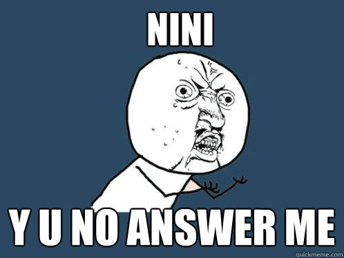 NINI y u no answer me   Y U No