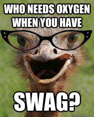 Who needs oxygen when you have Swag?  Judgmental Bookseller Ostrich