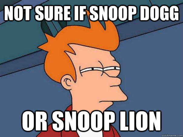 Not sure if Snoop Dogg or Snoop Lion  Futurama Fry