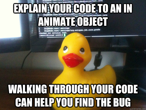 Explain your code to an in animate object Walking through your code can help you find the bug  Actual Advice Rubber Duck