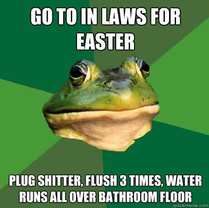 go to in laws for easter plug shitter, flush 3 times, water runs all over bathroom floor  Foul Bachelor Frog