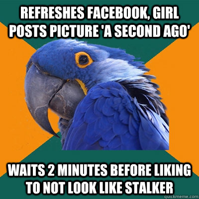 Refreshes facebook, girl posts picture 'A second ago' Waits 2 minutes before liking to not look like stalker  Paranoid Parrot