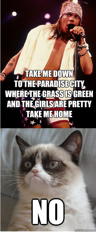 Take me down
To the paradise city
Where the grass is green
And the girls are pretty
Take me home no - Take me down
To the paradise city
Where the grass is green
And the girls are pretty
Take me home no  Tard the Grumpy Cat