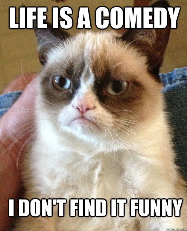 Life is a comedy I don't find it funny - Life is a comedy I don't find it funny  Grumpy Cat