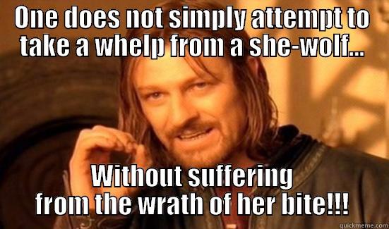 ONE DOES NOT SIMPLY ATTEMPT TO TAKE A WHELP FROM A SHE-WOLF... WITHOUT SUFFERING FROM THE WRATH OF HER BITE!!! Boromir