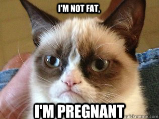 I'm not fat, I'm pregnant - I'm not fat, I'm pregnant  Tardar Sauce Grumpy Cat
