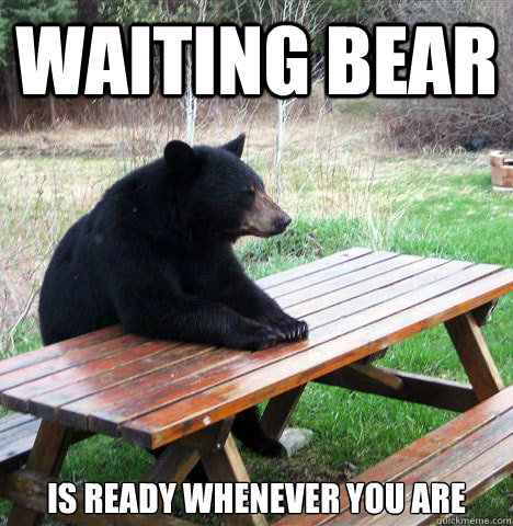 waiting bear is ready whenever you are  waiting bear