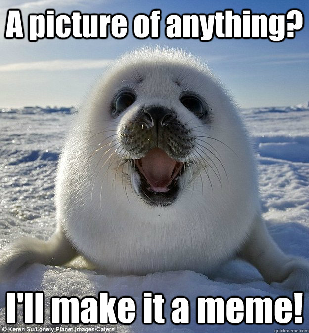 A picture of anything? I'll make it a meme!  Easily Pleased Seal