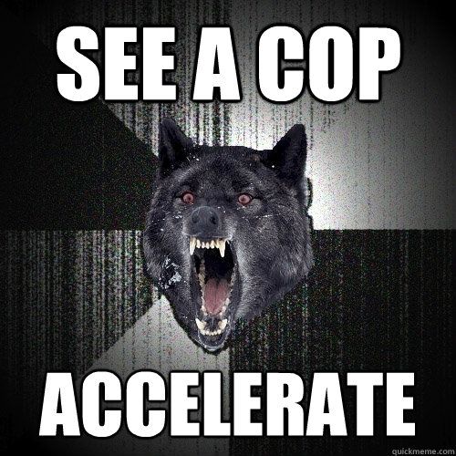 see a cop accelerate  Insanity Wolf