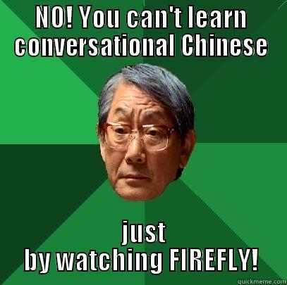 NO! YOU CAN'T LEARN CONVERSATIONAL CHINESE  JUST BY WATCHING FIREFLY! High Expectations Asian Father
