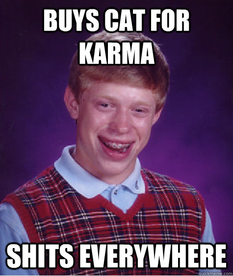 buys cat for karma shits everywhere - buys cat for karma shits everywhere  Bad Luck Brian