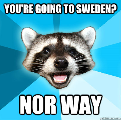 YOU'RE GOING TO SWEDEN? NOR WAY  Lame Pun Coon