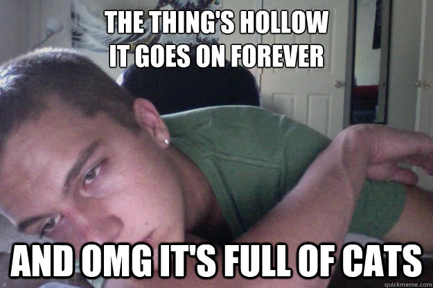 the thing's hollow
it goes on forever and omg it's full of cats  Hardcore Redditor